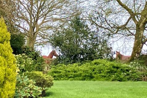 Grounds