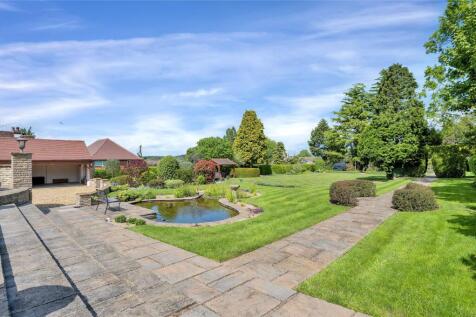 Garden In Summer
