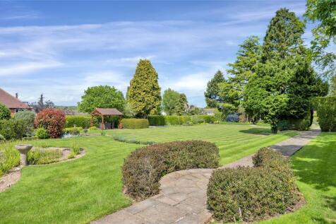 Garden In Summer