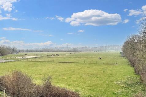 Paddock Land