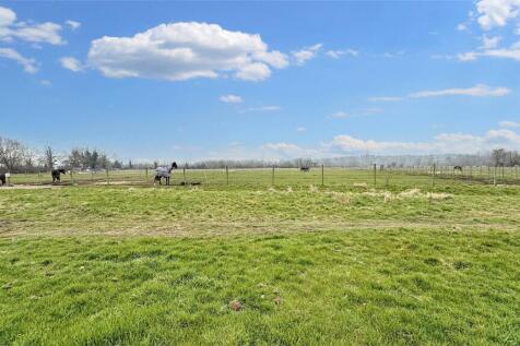 Paddock Land