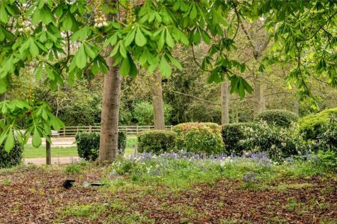 Grounds