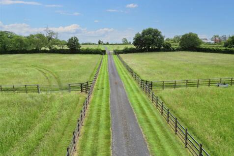 Paddock