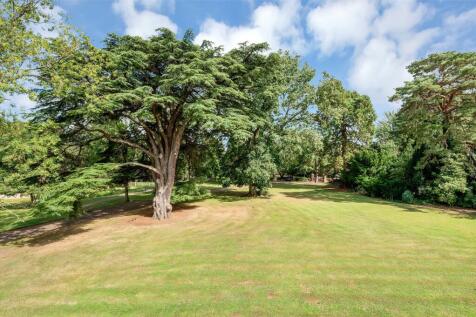 Grounds