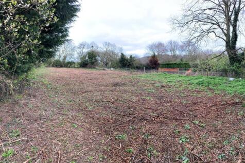 Lot 5