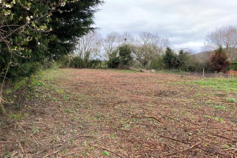 Lot 5