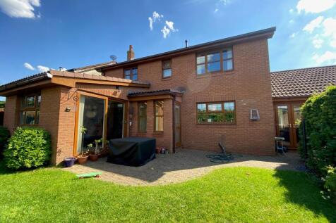 Property Image 13