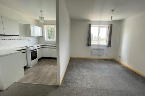 Kitchen / Living Area