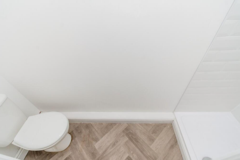 Downstairs WC with shower