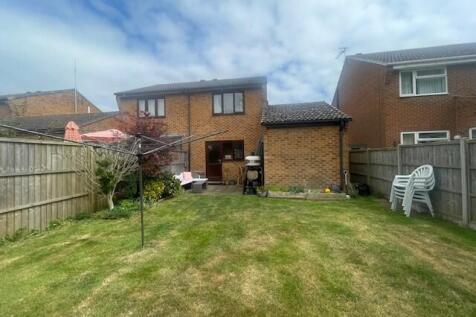 Back Garden
