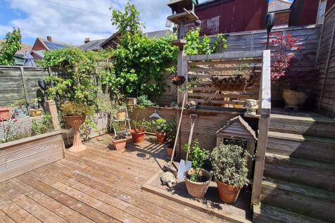 Back garden 2