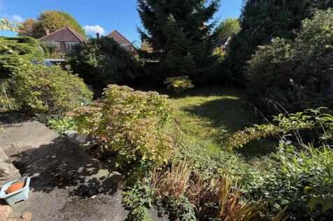 OD1 Garden1.jpg