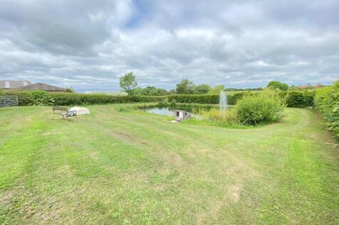 Surrounding Landscape