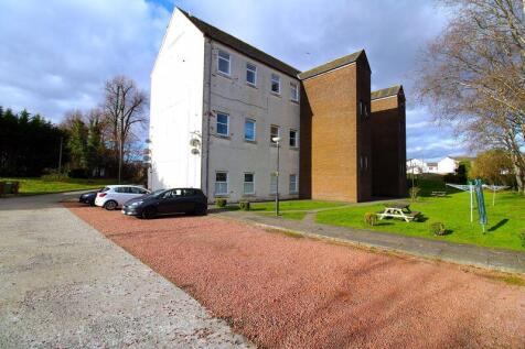 Rear &amp; Parking