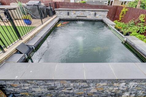 Fish Pond