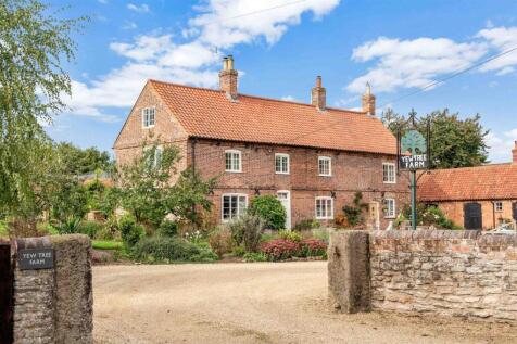 Yew Tree WEB PH-27.jpg