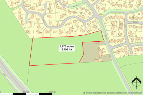 The Site