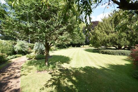 THE GROUNDS