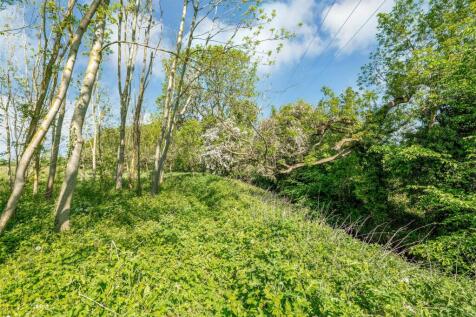 WILD AREA