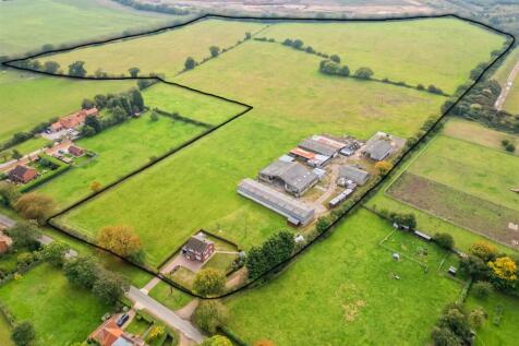 Rose Farm Norton Disney (10B of 12).jpg