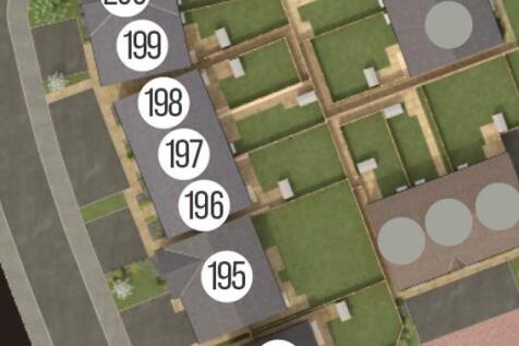 197.jpg