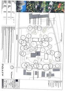 Tree &amp; Ecology Plan.jpg