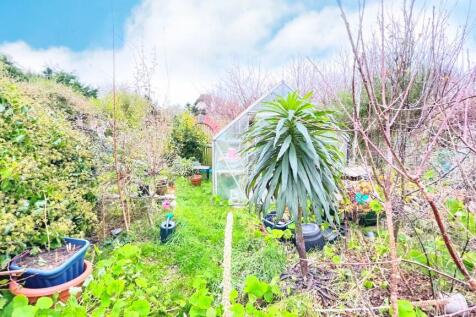 Garden 4
