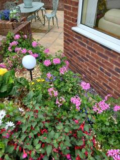 The Garden In Bloom