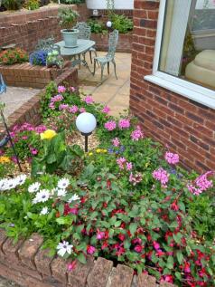 The Garden In Bloom
