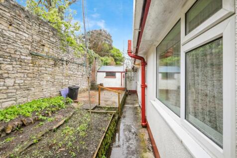 Back Garden