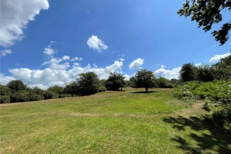 Whitchurch Down
