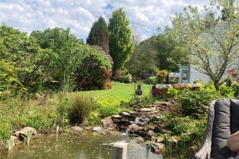 Pond In Summer