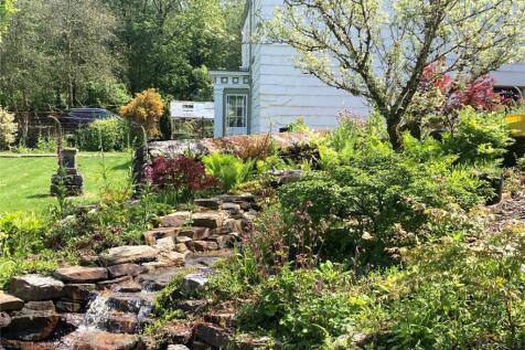 Pond In Summer