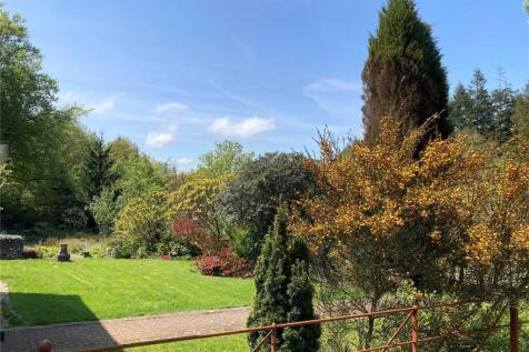 Garden In Summer