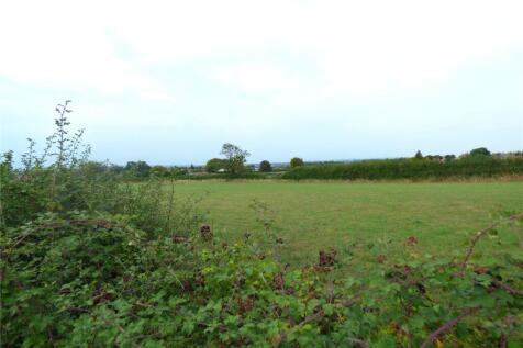 Field