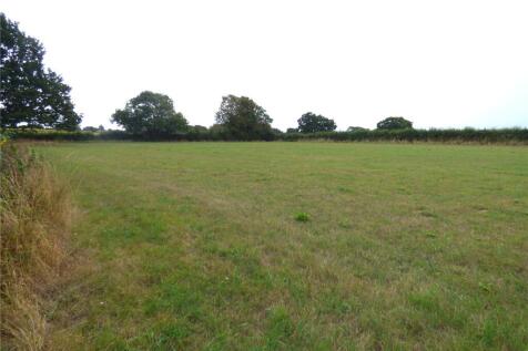 Field