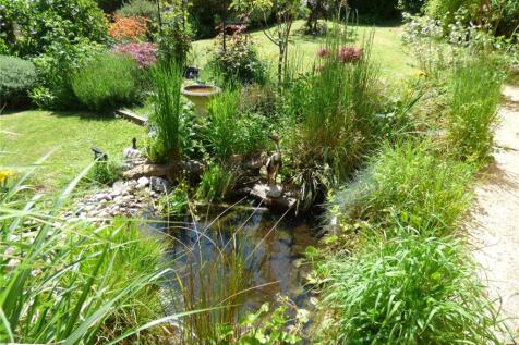 Pond