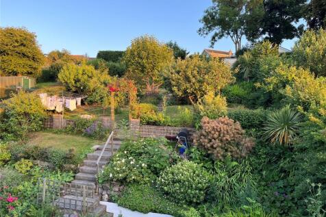 Garden (Summer)