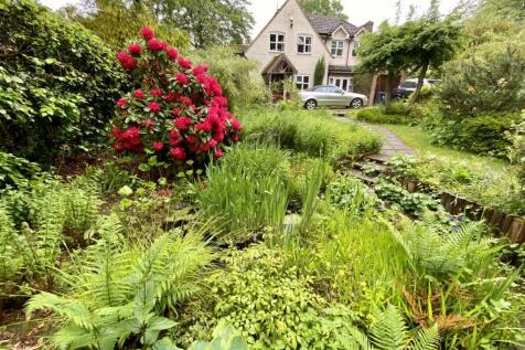Property Image 35