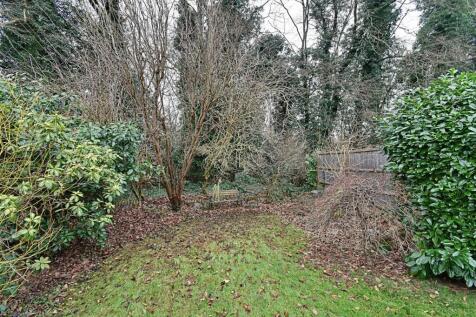 Garden 2.jpg