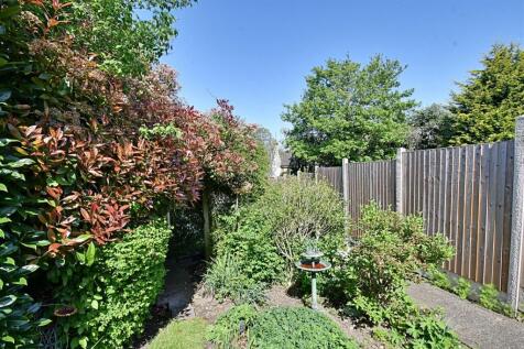 Garden 4.jpg
