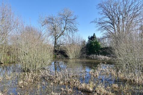 Duck Pond.jpg