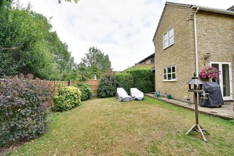 Garden 3.jpg