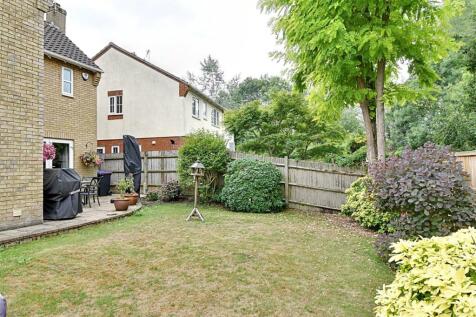 Garden 4.jpg