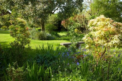 Property Image 23