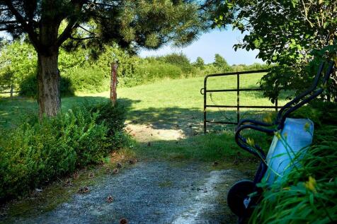 Property Image 38