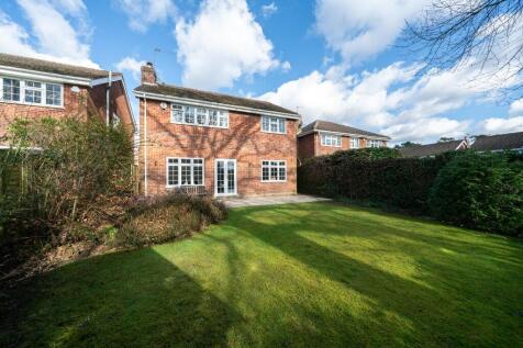 Property Image 13