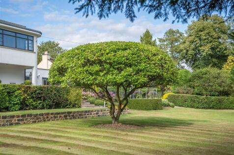 Property Image 39
