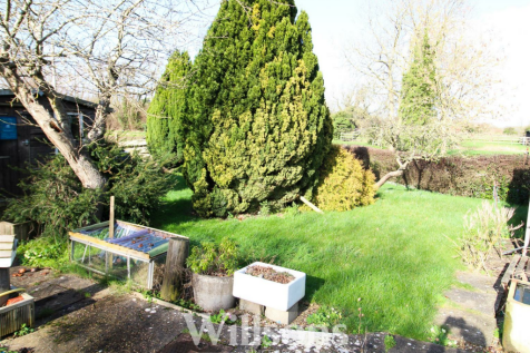 Rear Garden 2 .png
