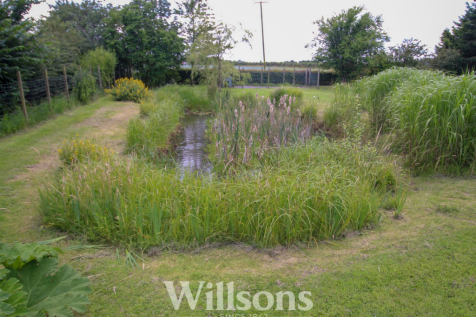 Pond.png
